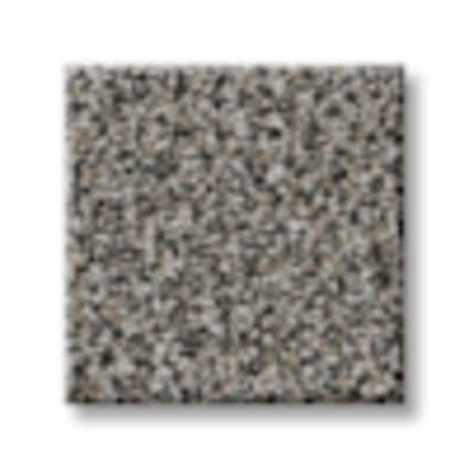 Shaw Gardiners Bay Shaded Texture Carpet with Pet Perfect Plus-Sample